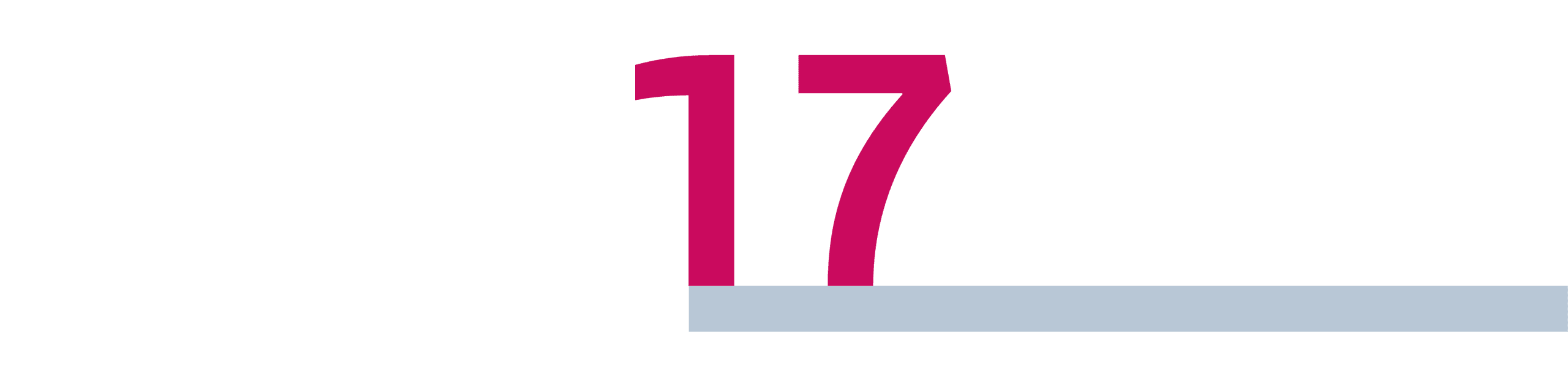 Hoofstuk nummer 17